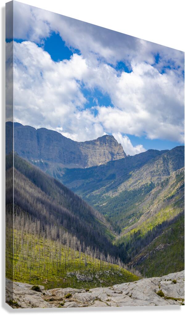 The Mountains of Waterton Canvas Print