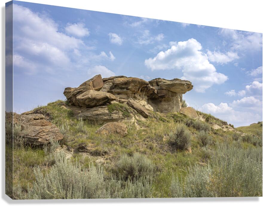 Whispers of the Badlands Canvas Print