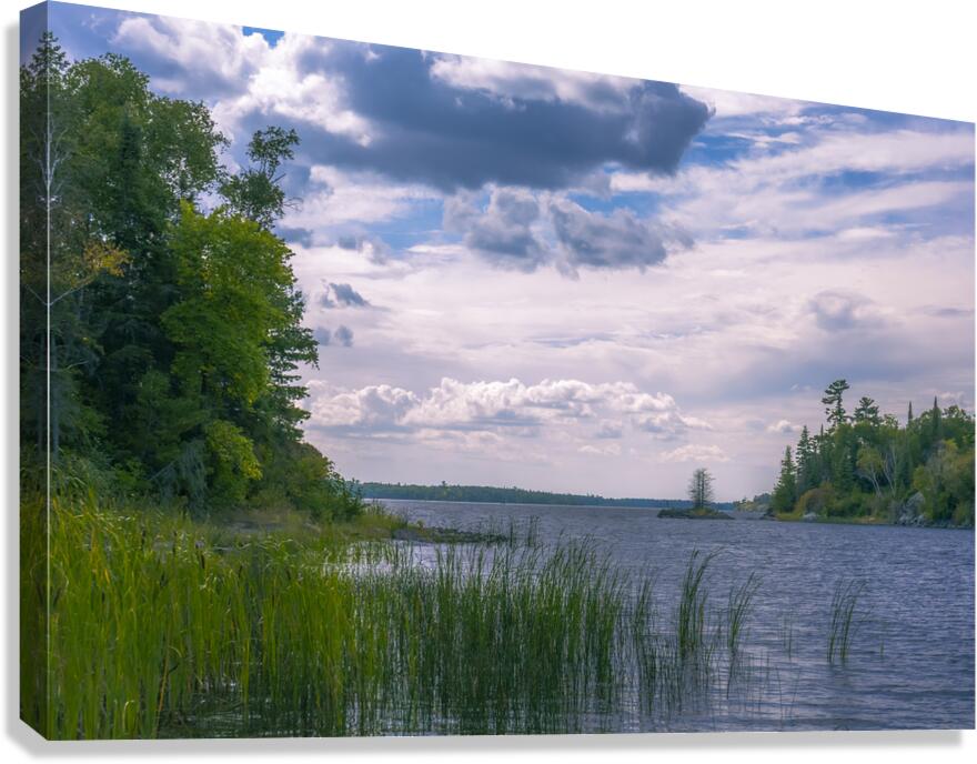 Serene Solitude Canvas Print