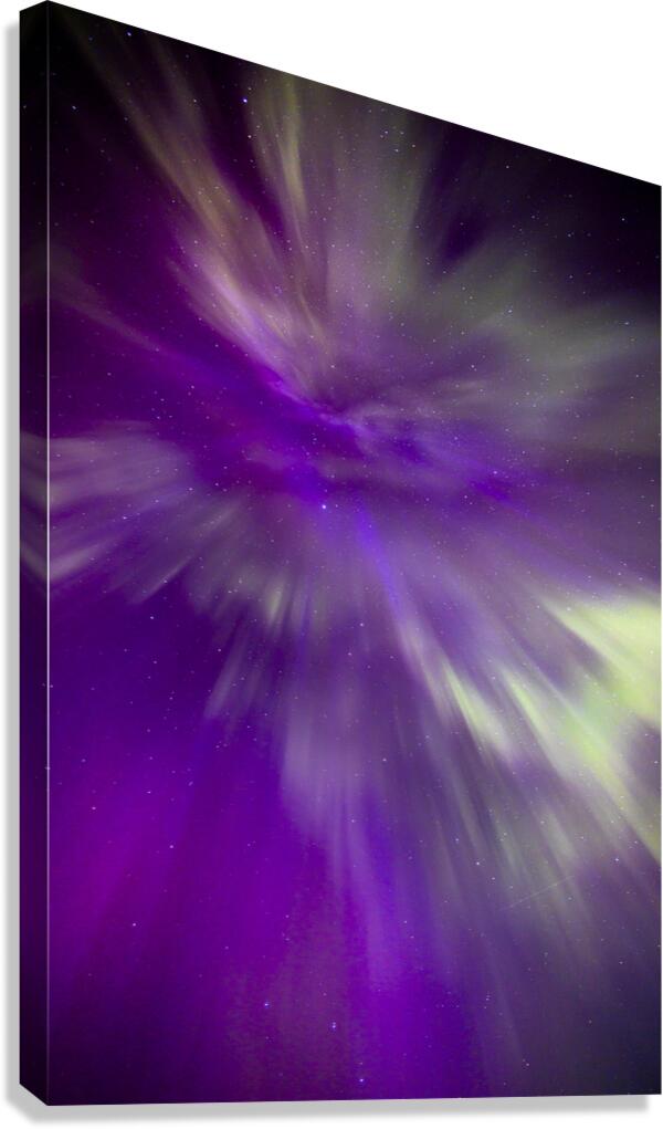 Night Bloom Canvas Print