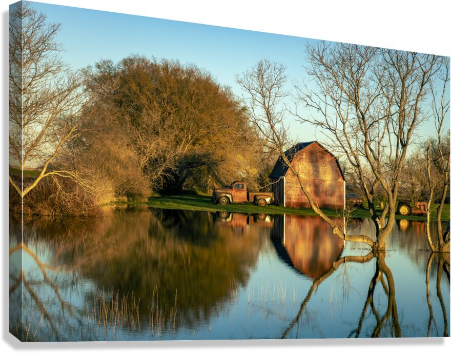Reflections of Rural Life Canvas Print