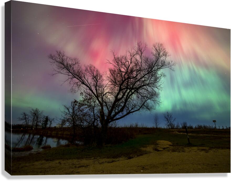 Under Heavens Blessing Canvas Print