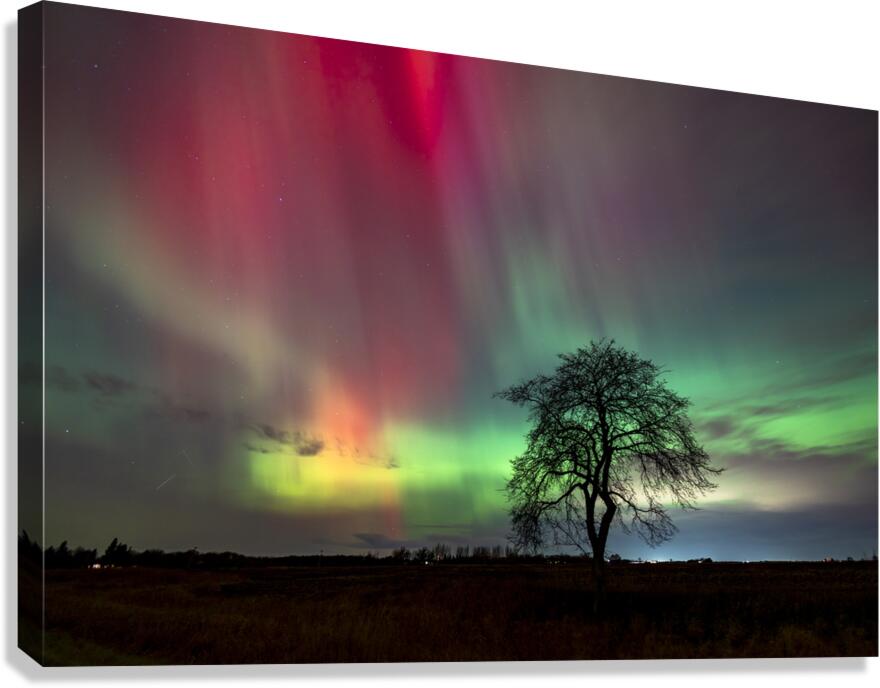 Aurora Dance Canvas Print