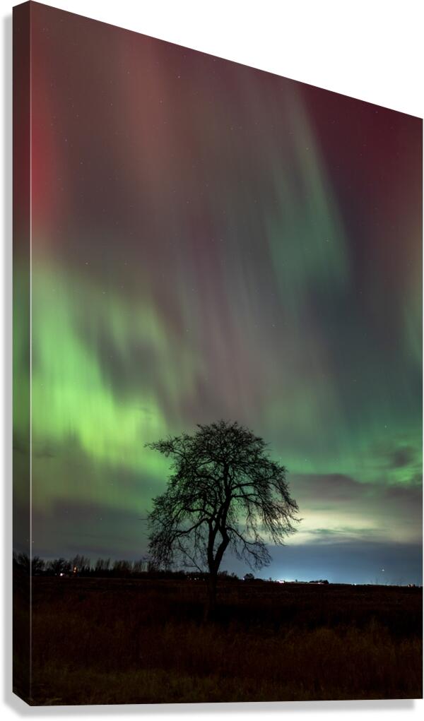 Northern Lights Dance Canvas Print