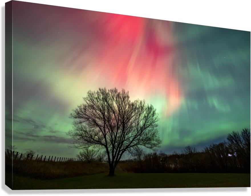 Cosmic Flames Canvas Print