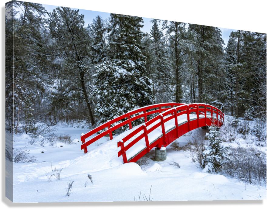 Crimson Crossing Canvas Print