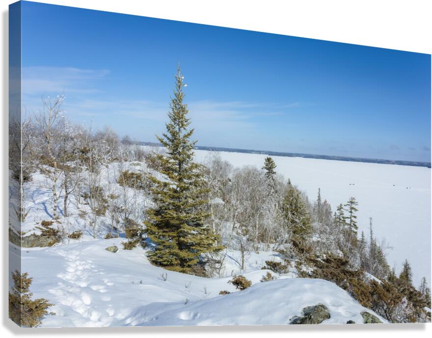 Winter Ridge Vista Canvas Print