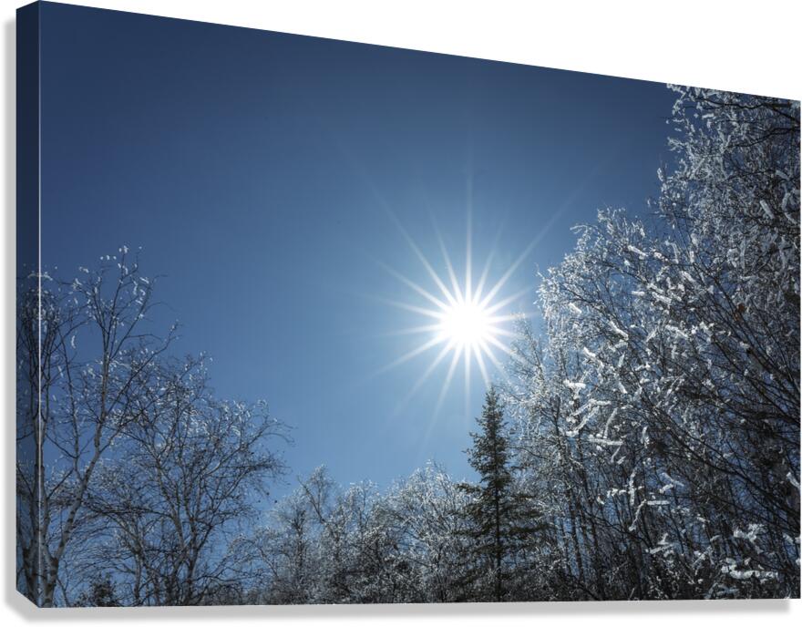 Winter Sunburst Canvas Print