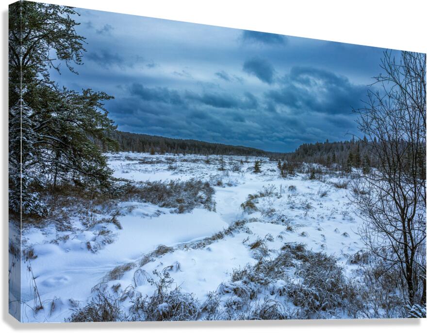 Winter Quietude Canvas Print