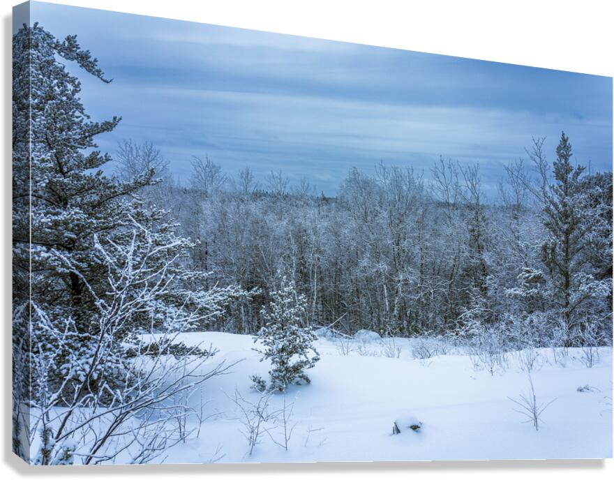 Whiteshell Winter Calm Canvas Print