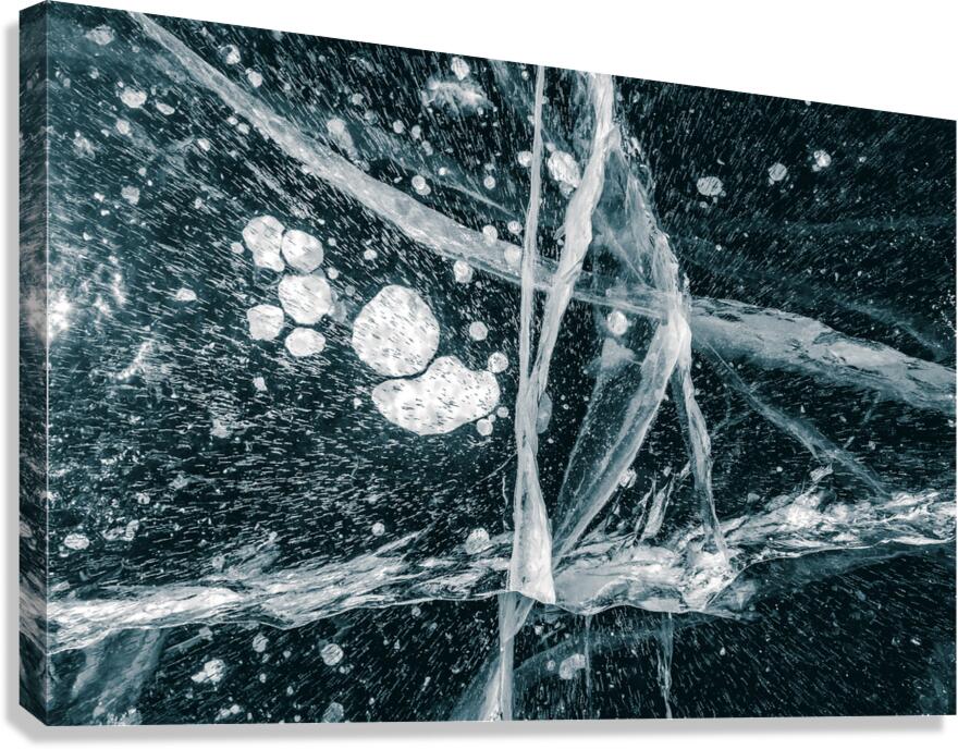 Frozen Veins Canvas Print