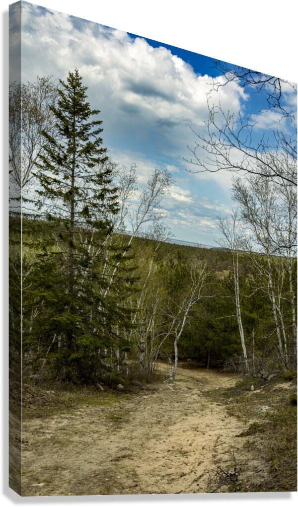 Ancient Beach Trail Canvas Print