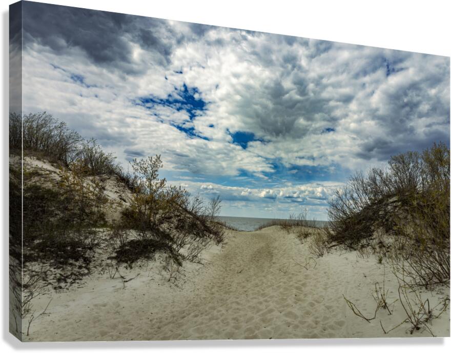 To the Beach Canvas Print