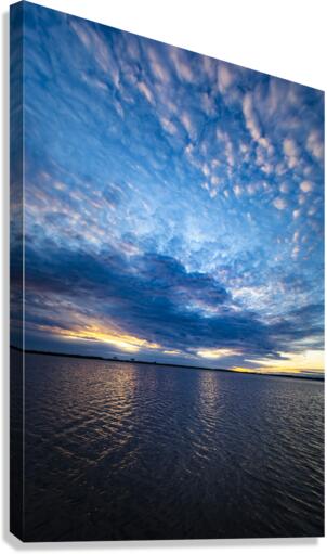 Flooded Field Canvas Print