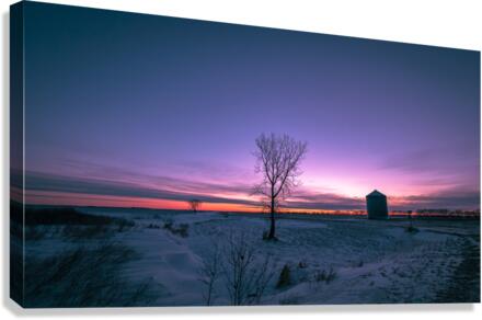 Lone Trees and Grain Bin Canvas Print