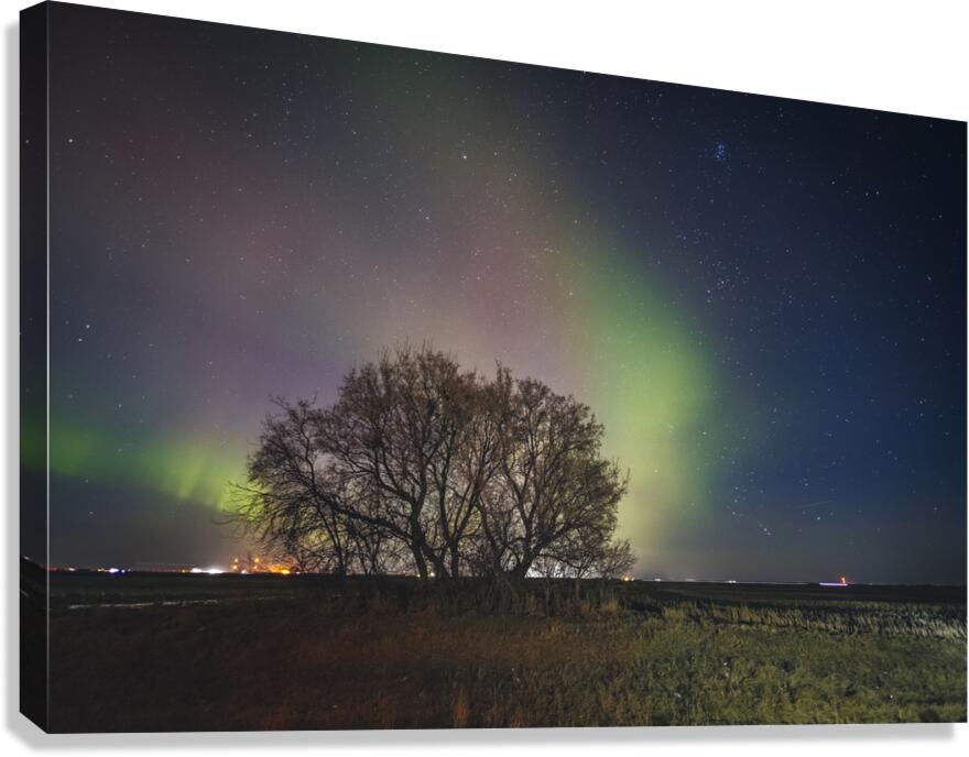 Angels Landing Canvas Print