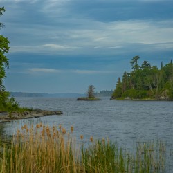 Morning on Shoal Lake