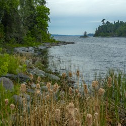 Morning on Shoal Lake