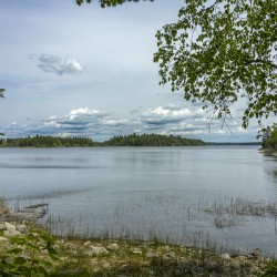 Shoal Lake View