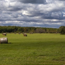 Haybales Under a Cloudy Sky
