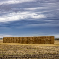 Hay Wall