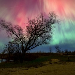 Under Heavens Blessing