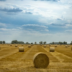 Hay Bales Under a Cloudy Sky