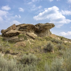 Whispers of the Badlands