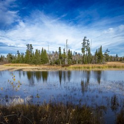 Horseshoe Bend at Pine Point Rapids