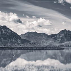 Reflections of Tranquility