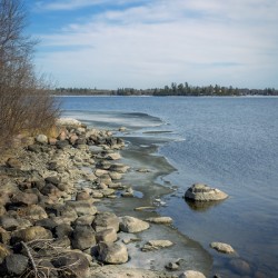Serenity by the Shore