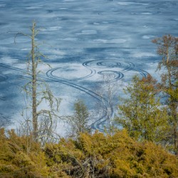 Ice Circles