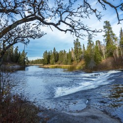 Falls at Pine Point Rapids