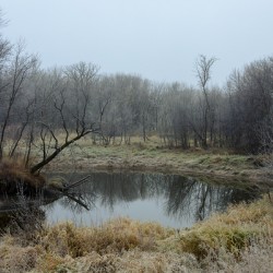 Fog by the River
