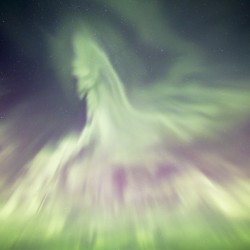 Northern Lights