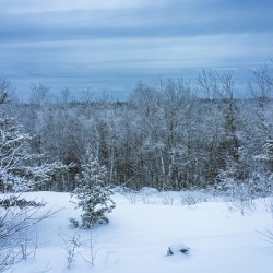 Whiteshell Winter Calm