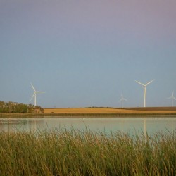 Wind Turbines Reflection