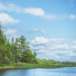 Lake of the Woods View