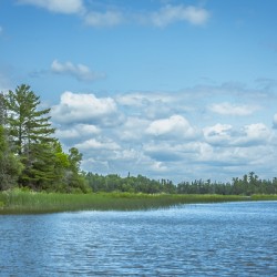 Lake of the Woods View