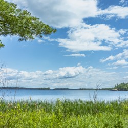 Lake of the Woods View