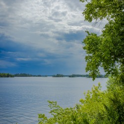 Lake of the Woods Shore
