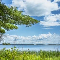 Lake of the Woods View