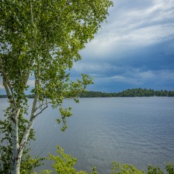 Lake of the Woods Shore