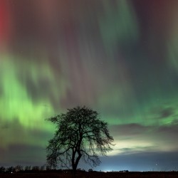 Northern Lights Dance