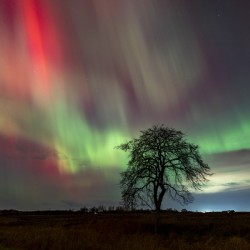 Northern Lights Dance