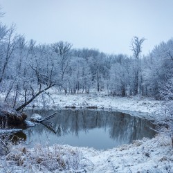 River in First Snowfall