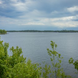 Lake of the Woods Shore