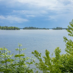 Lake of the Woods View