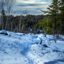 Winter Trail