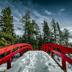 Red Bridge in Snow